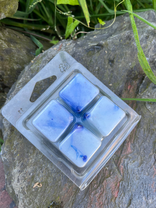 Beach Goth waxmelt (Seychelles)