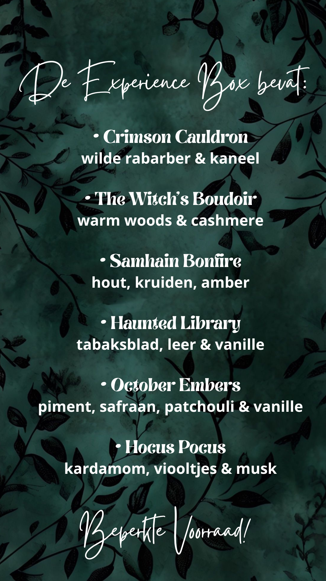 'A Gloomy Day In Salem' (Fall2026) pre-launch Experience Box