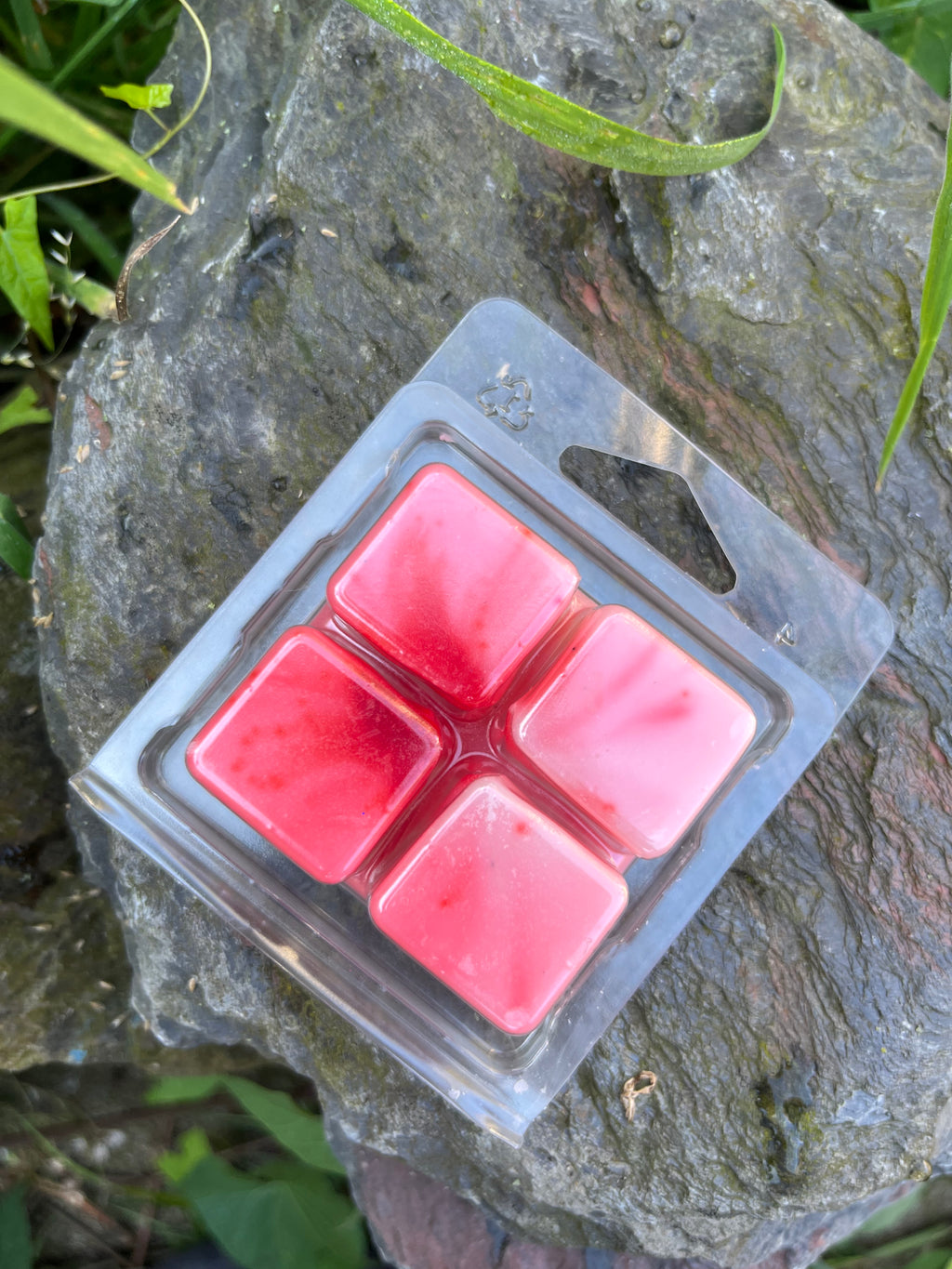 Nightshade Berries waxmelt (winter berries)