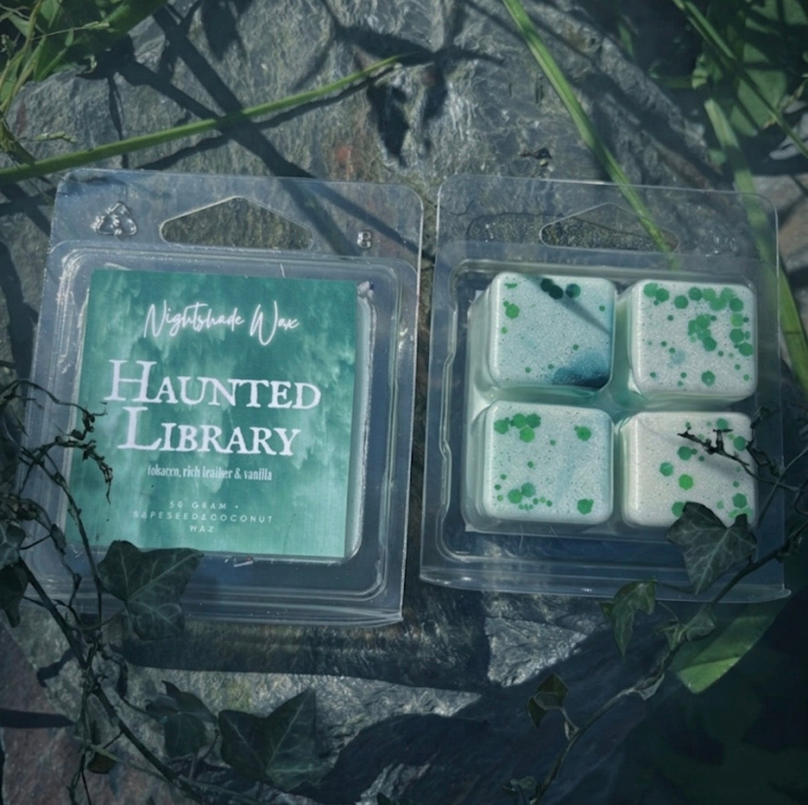 Haunted Library 🦇